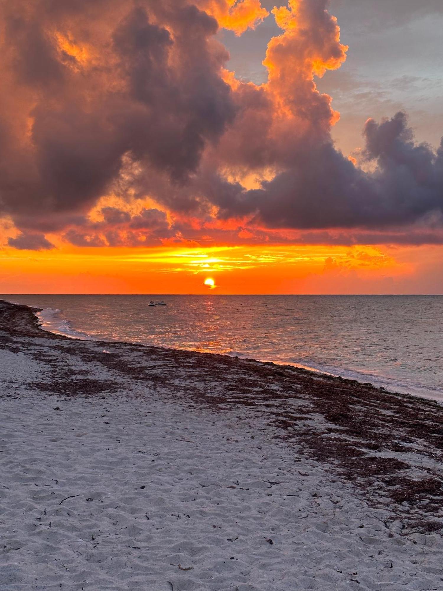 Tecnohotel Beach San Benito Exteriör bild